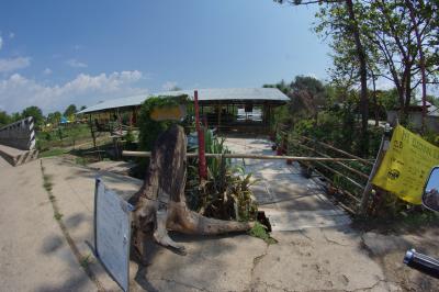 Bamboo Bar